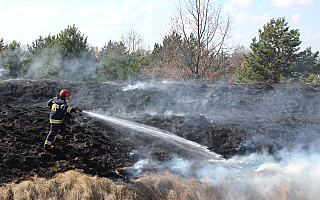 Leśnicy rozpoczęli akcję przeciwpożarową. Chcą zapobiec skutkom ludzkiej nieodpowiedzialności